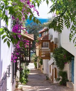 Местные пейзажи