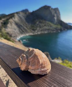 Новый Свет в Крыму