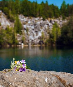 Местный пейзаж