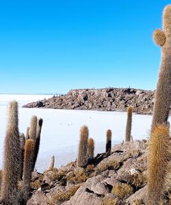 Остров Инкауаси