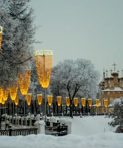 Новогодний тур в Рязань