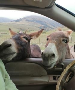 Тур в Северную Осетию