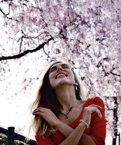 Тур на цветение сакуры в Японии