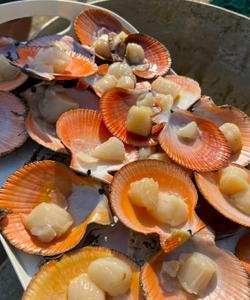 Мурманские морепродукты