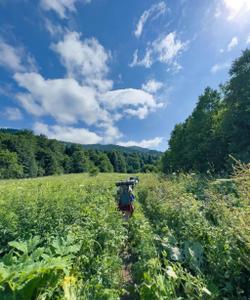 Поход на Большой Тхач