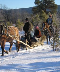 Конно-санная прогулка, Башкирия