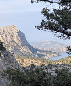 Новый Свет, Крым