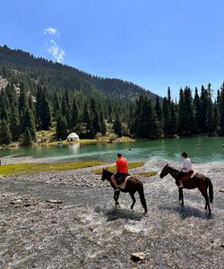 Катание на лошодях