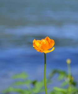 Телецкое озеро