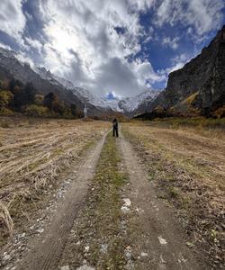 Цейский ледник