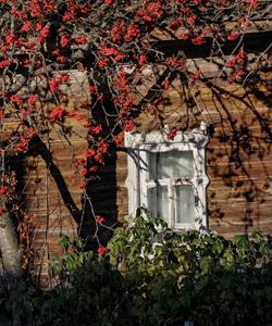 Старинное село Нёнокса