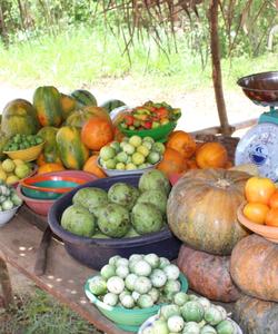 Фрукты на Шри-Ланке