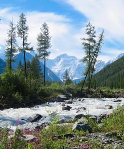 Природа Алтая