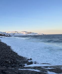 Тур в Териберку на Кольском