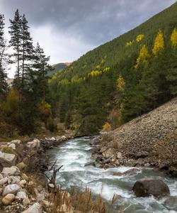 природа Кавказа