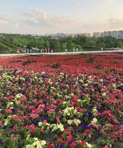 Парк Краснодар