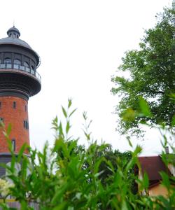 Музей кошек «Мурариум», Зеленоградск