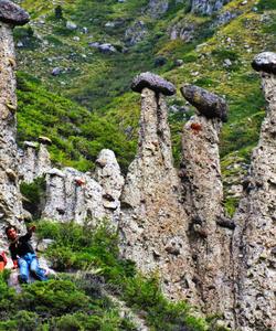 Каменные грибы