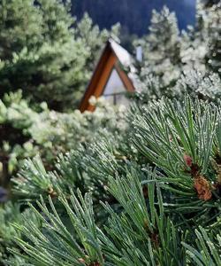 Поход на Уллу-Тау