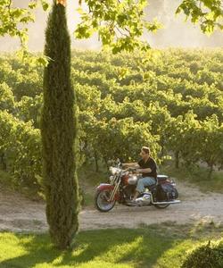 Тур в Прованс