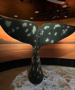 Визит-центр Кроноцкого музея-заповедника