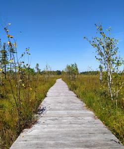 Байкальский государственный биосферный заповедник
