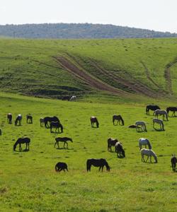 Тур в Башкирию