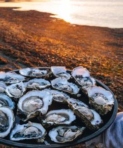 Озеро Буссе