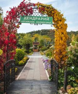 Дендрарий Алтайское холмогорье