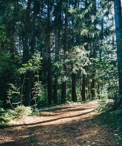 Тур в Белоруссию