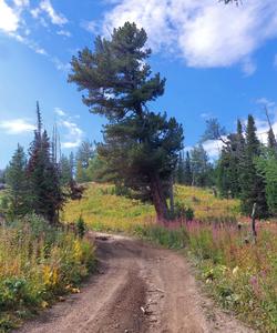 Горный Алтай