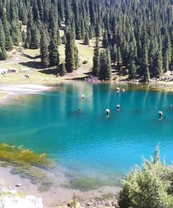 Озеро Суттуу-Булак