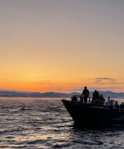 Прогулка в Баренцевом море