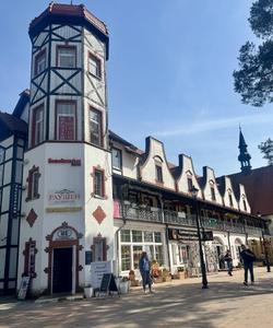 Экскурсия по Светлогорску