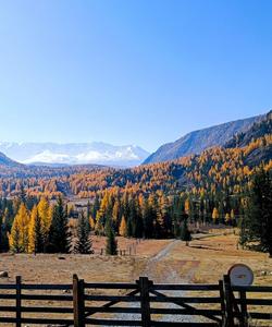 Осенний тур на Алтай