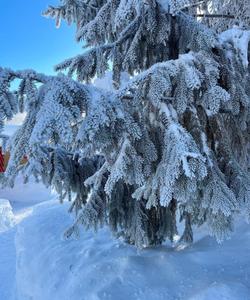 зима на Камчатке