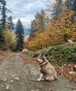 Треккинг в Архызе