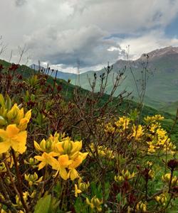 Кавказские пейзажи