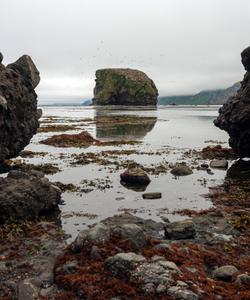 Бухта Тихая на Сахалине