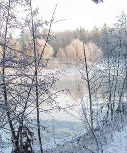 зима в Марий Эл