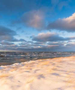 Куршская коса