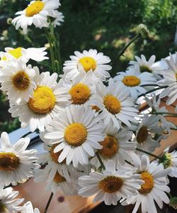 Тур в Карелию