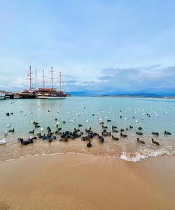 Геленджик Черное море