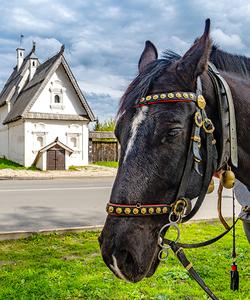 Посадский дом в Суздале