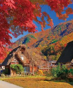 деревня Сиракава-го 