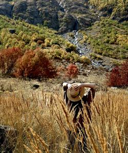 Местный пейзаж
