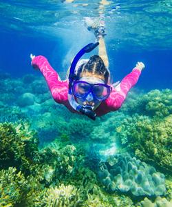 Большой Барьерный Риф