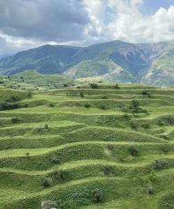 Чохские террасы