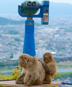 Смотровая площадка в Японии