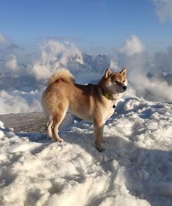 Тур на Эльбрус